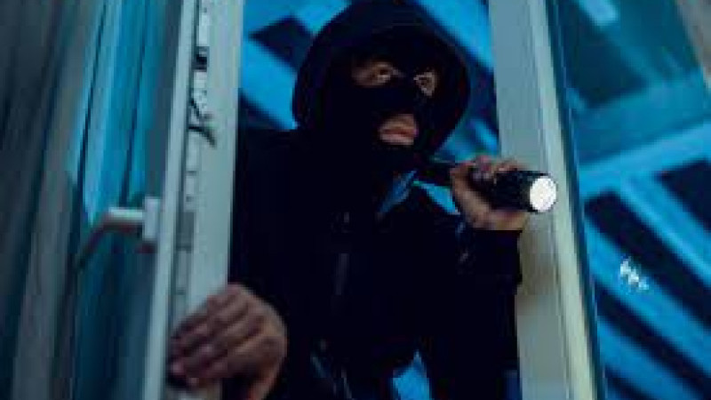 Hırsızlık çeşitleri nelerdir?