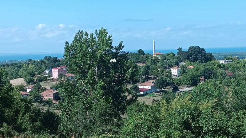 Karlı mahallesi su problemine çözüm bekliyor.