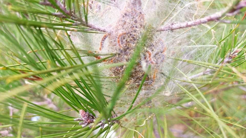 Görüldüğü yerde imha edilmelidir.